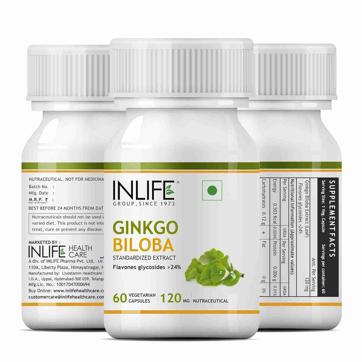 Inlife | Ginkgo Biloba Extract Capsules 120mg | Herbal Supplement | Memory Support | 60 Veg Cap