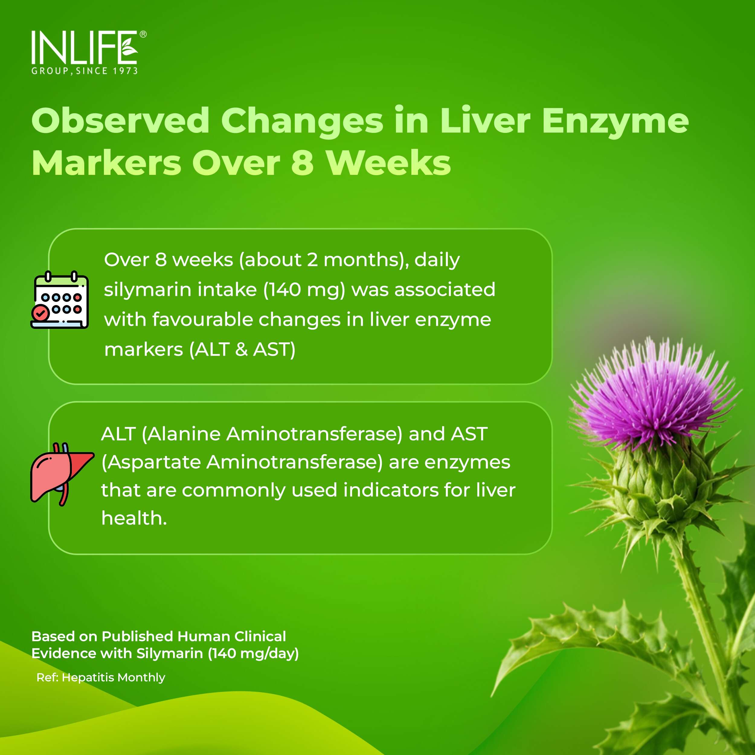 Inlife | Milk Thistle 800mg Silymarin | Silybum Marianum Extract 25:1 | Liver Health & Detox Function | Men Women | 60 Veg Cap