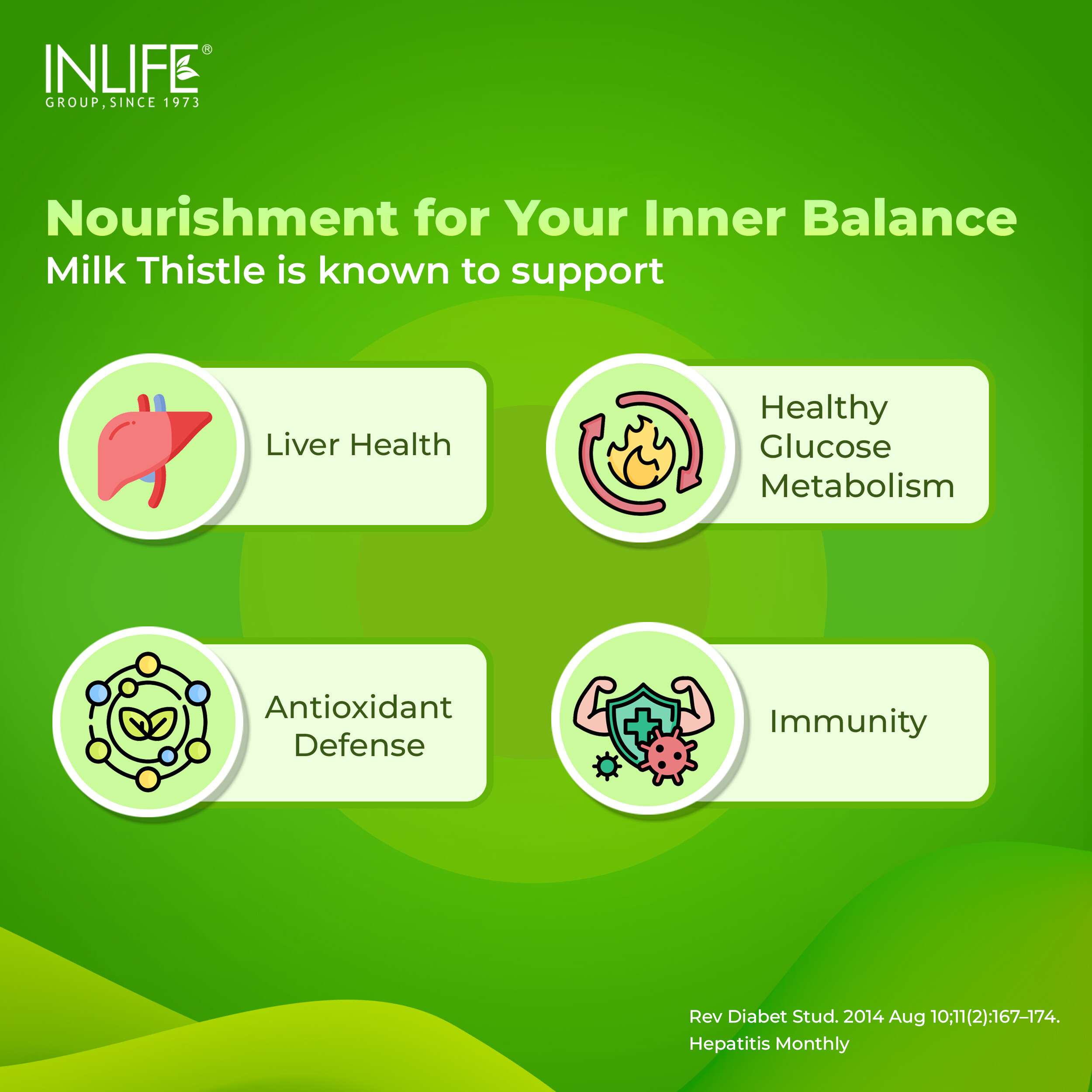 Inlife | Milk Thistle 800mg Silymarin | Silybum Marianum Extract 25:1 | Liver Health & Detox Function | Men Women | 60 Veg Cap