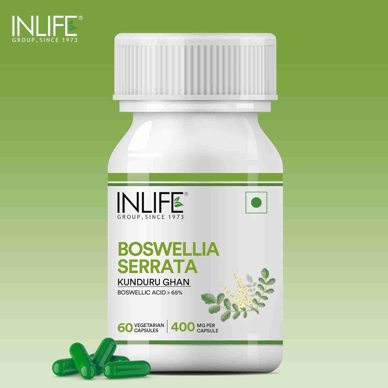 Inlife | Boswellia Serrata Extract (Boswellic Acids > 65%) Joint Supplement, 400 mg | 60 Veg Cap