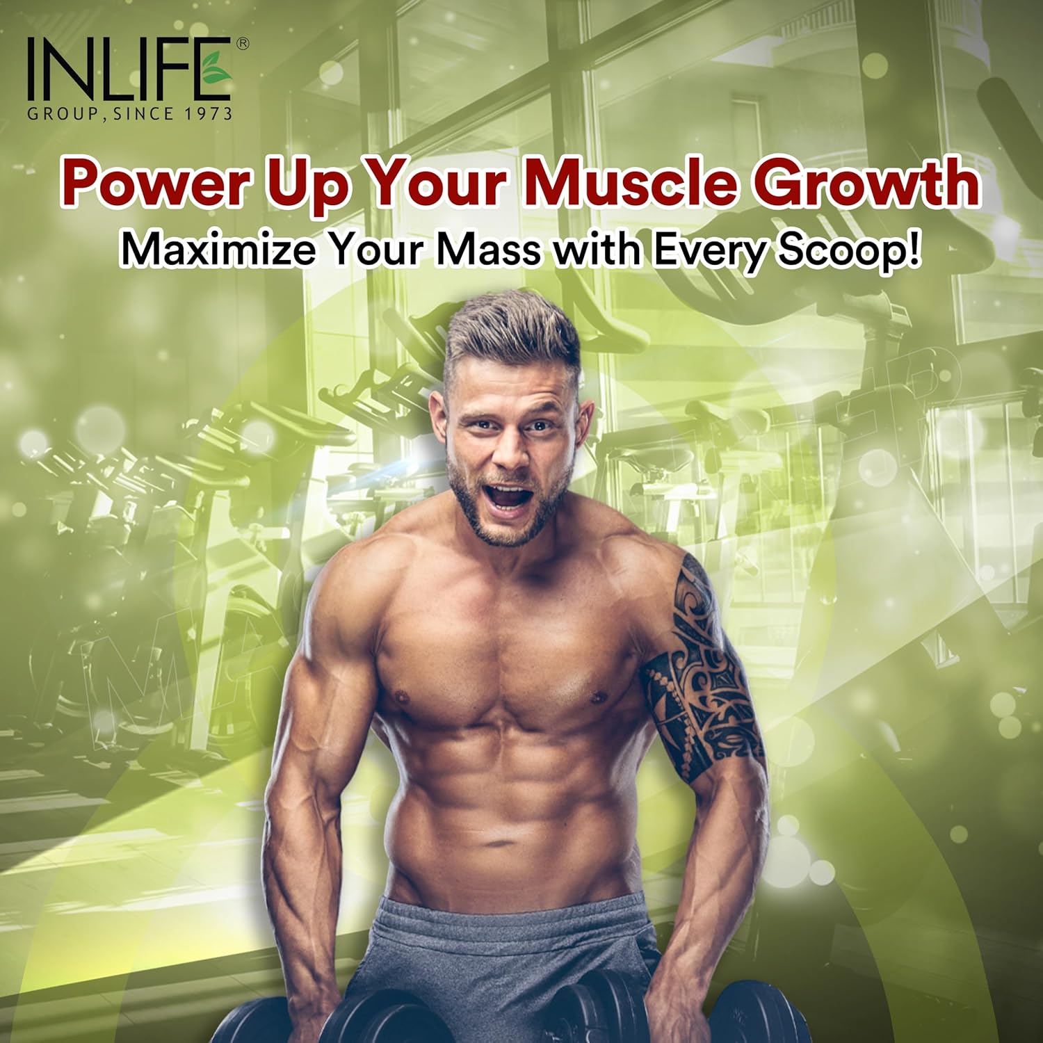 Inlife | Muscle Mass Gainer With Whey Protein Powder Body Building Supplement (Chocolate 3 kg)