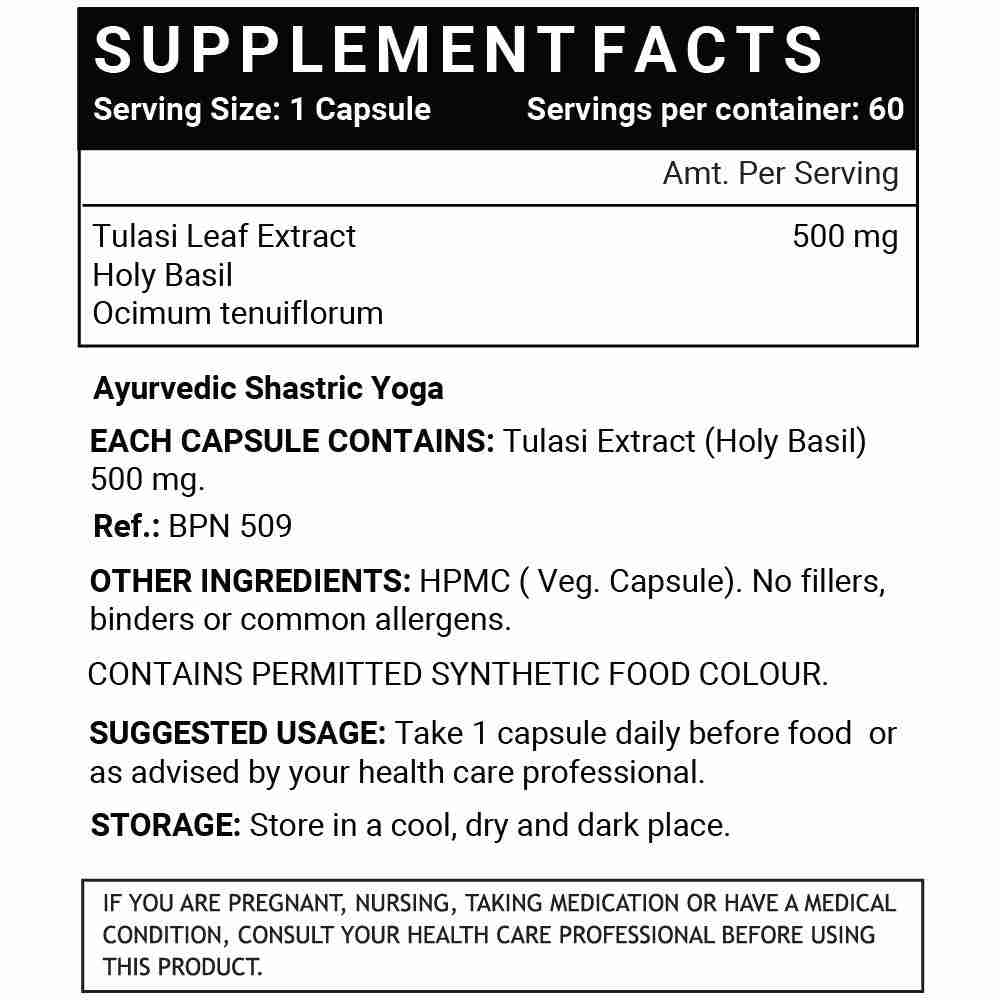 Inlife | Tulsi (Tulasi) Extract Capsules | Holy Basil | Pure Herbal Supplement | Natural Respiratory Wellness, 500mg – 60 Veg Cap (Pack of 1, 60)
