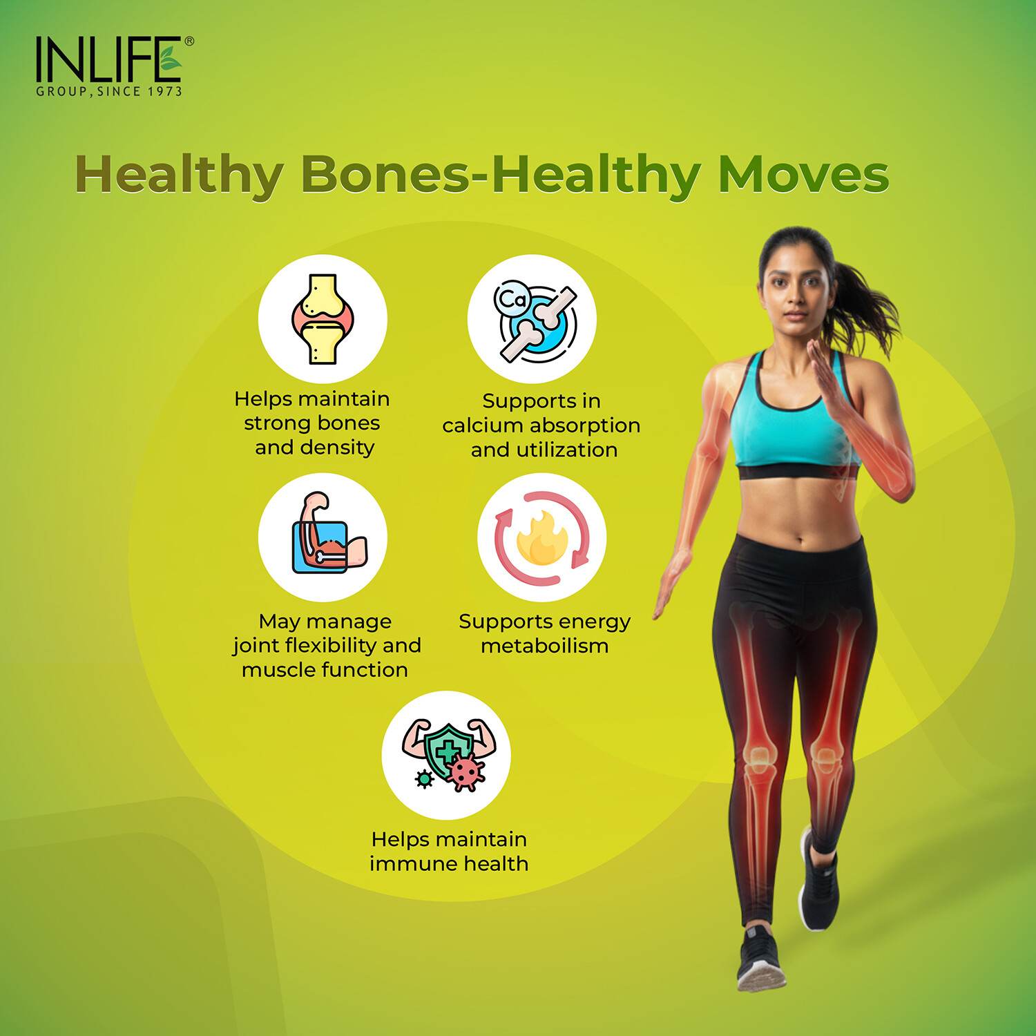 Inlife | Calcium Magnesium Zinc | Vitamin D2 B12 Folic Acid K2 MK7 | Bone Muscle & Joint Health Support | Men Women | 120 Tab