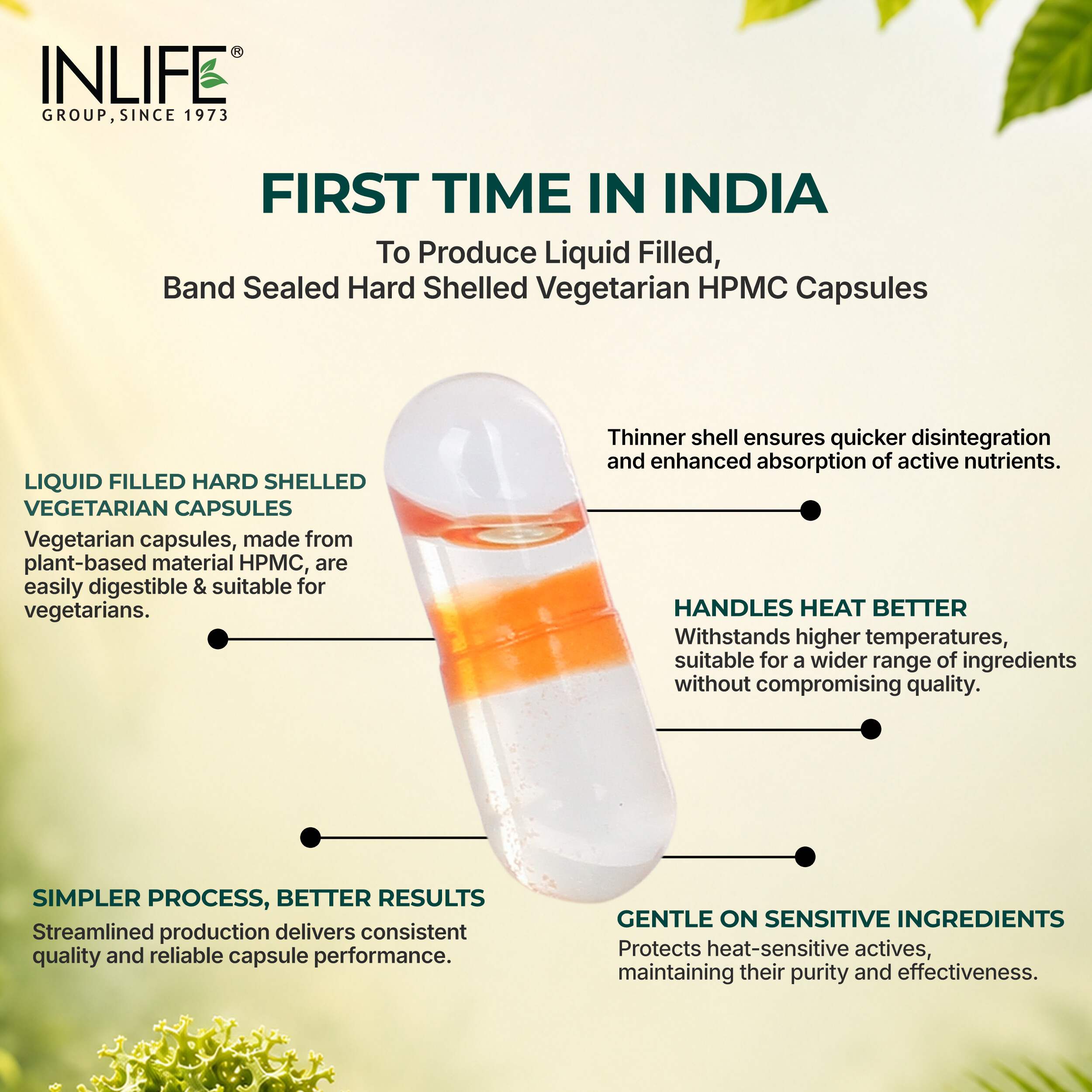 Inlife | Vitamin D3 600 IU K2 MK7 55 mcg | Plant Based Lichen Sourced | Bone Muscle & Immunity Health | Men Women | 60 Veg Cap