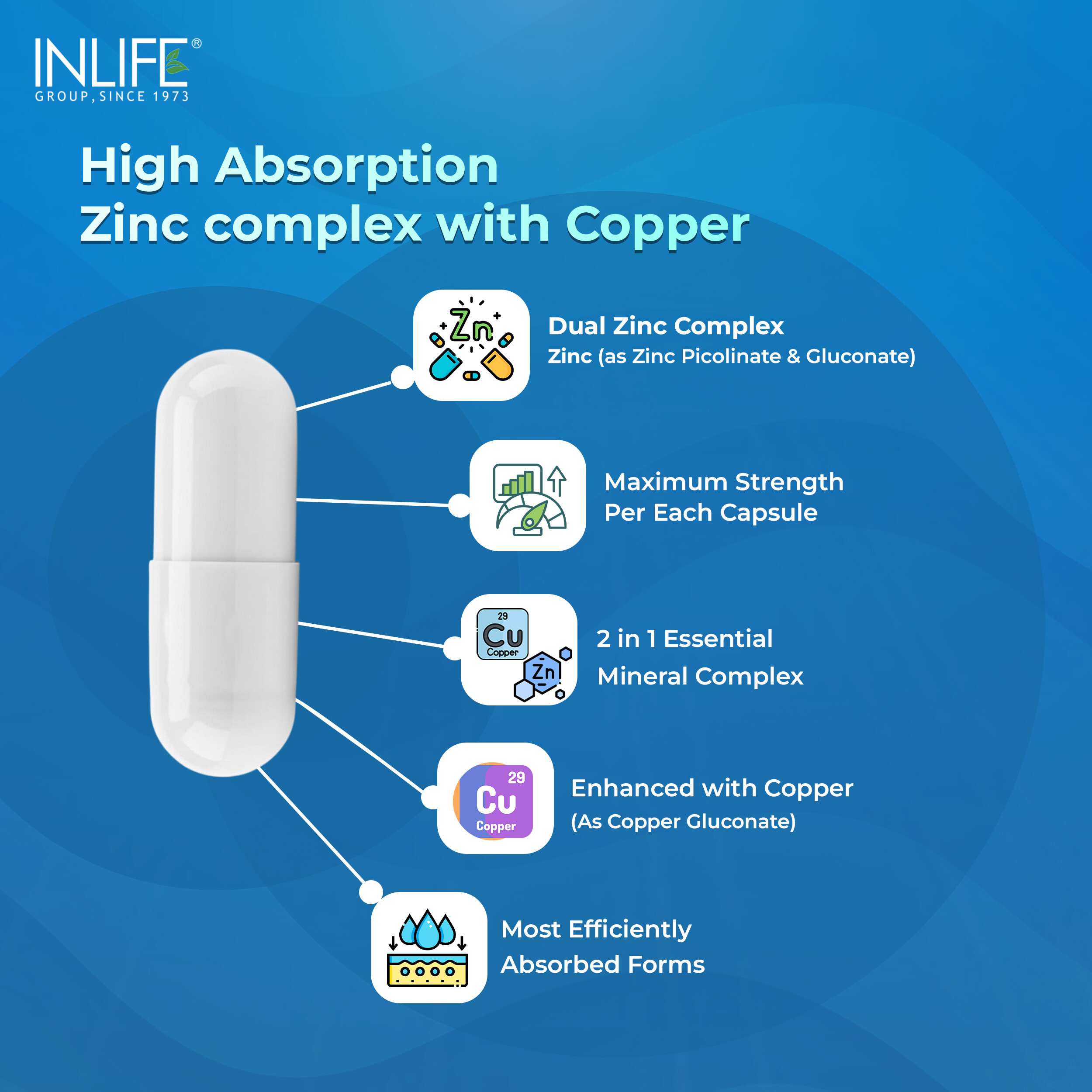 Inlife | Zinc Picolinate with Copper Gluconate Complex | Immunity Skin & Digestion Support Supplement | Overall Wellness | Men Women | 120 Veg Cap