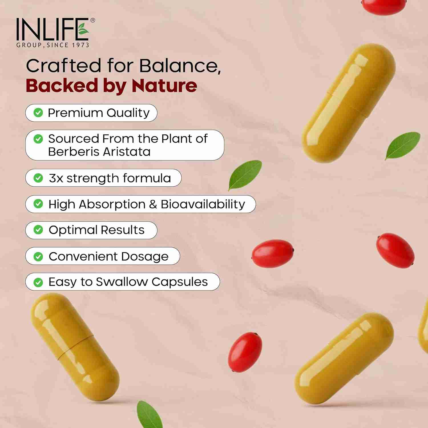 Inlife | Berberine HCL 500mg Supplements with Milk Thistle & Turmeric Extract Support for Men & Women | 60 Veg Capsules (Pack of 1, 60)