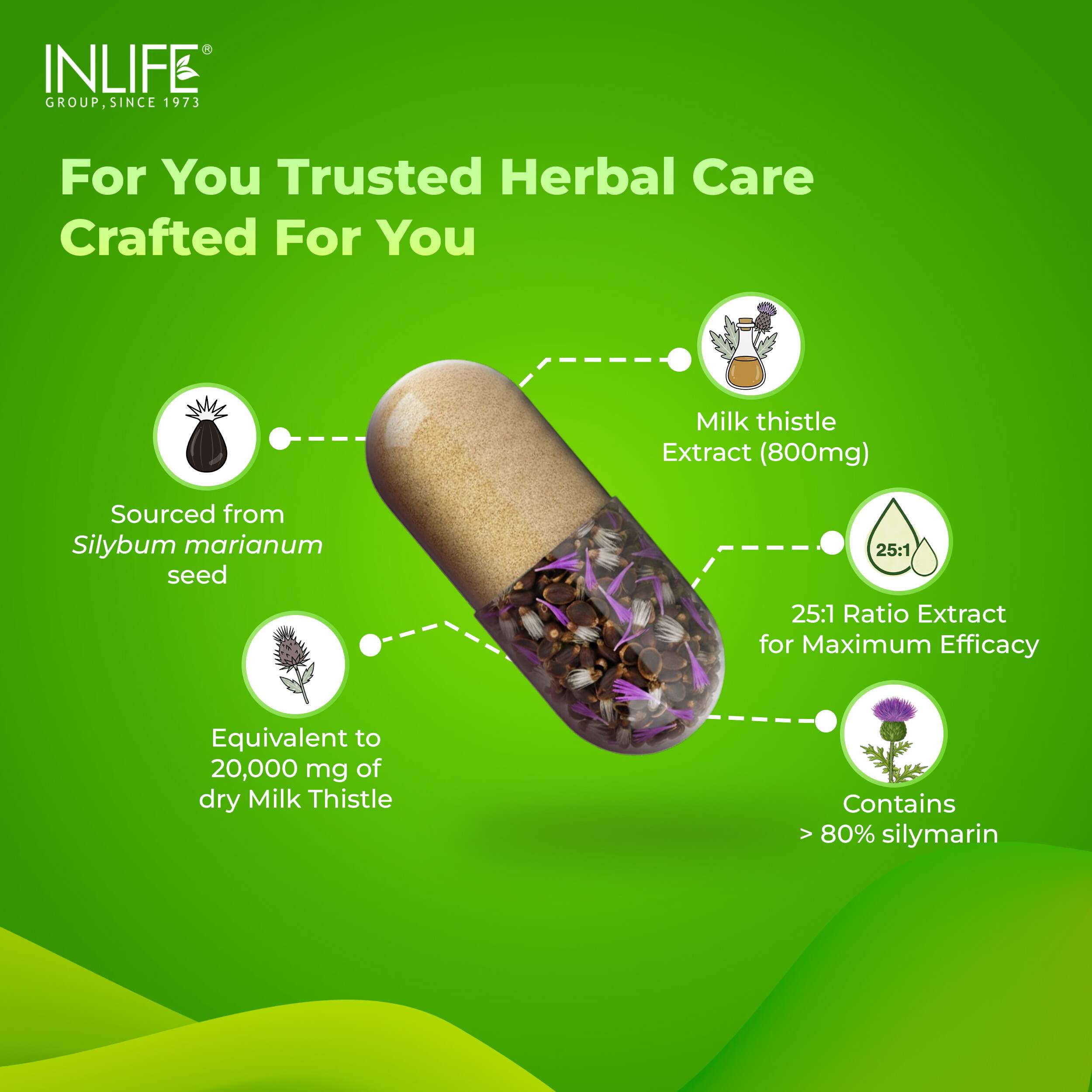 Inlife | Milk Thistle 800mg Silymarin | Silybum Marianum Extract 25:1 | Liver Health & Detox Function | Men Women | 120 Veg Cap