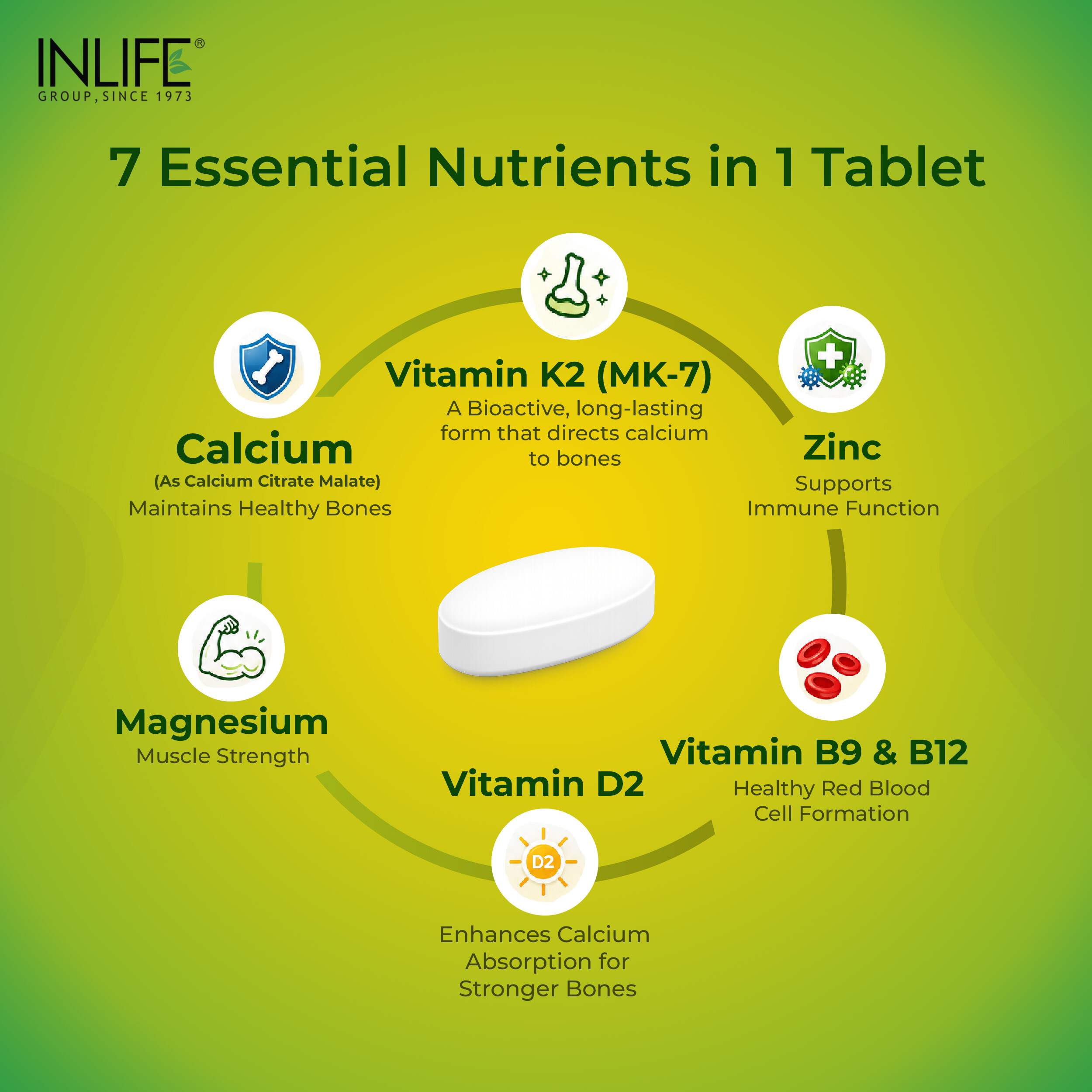 Inlife | Calcium Magnesium Zinc | Vitamin D2 B12 Folic Acid K2 MK7 | Bone Muscle & Joint Health Support | Men Women | 60 Tab