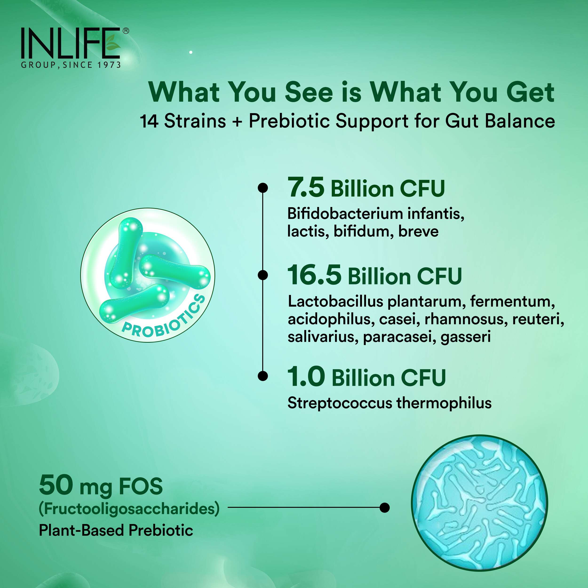 Inlife | Prebiotic & Probiotic Forte 25 Billion CFU | 14 Strains with Lactobacillus Reuteri | Gut Digestive & Immune Health | Men Women | 30 Veg Cap