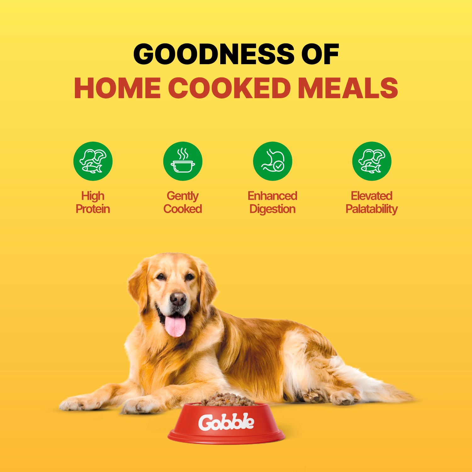Gobble Gently Cooked Fish With Rice Wet Dog Food, 300g