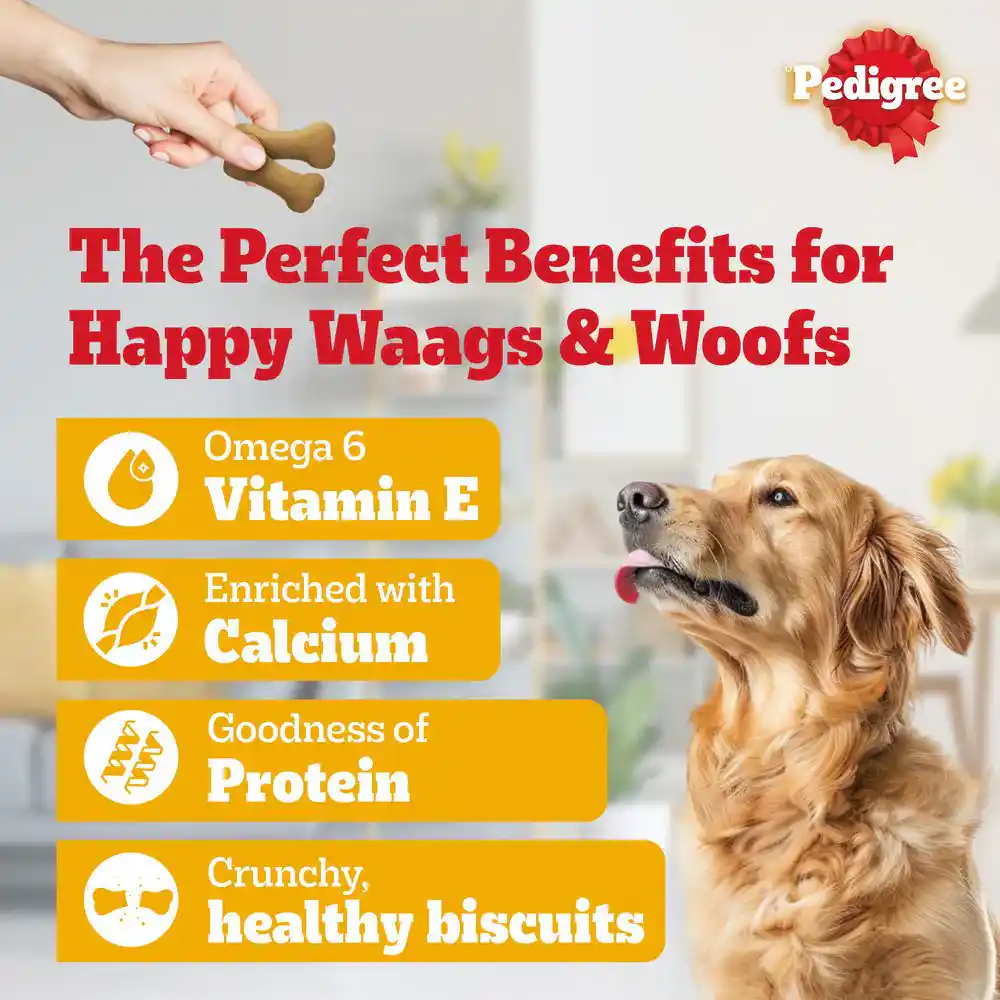 Pedigree Lamb Flavour (4+ Months) Biscrok Biscuits Jar Treats for Dogs