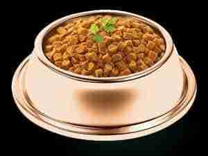 JerHigh Meat-As-Meals Salmon Recipe Wet Dog Treats 45g
