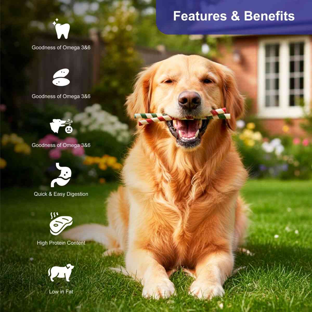 Snackers Non Rawhide Chews Two Tone Chewy Roll for Dogs, 225g