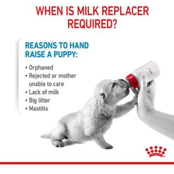 Royal Canin Baby Dog Milk, 2kg