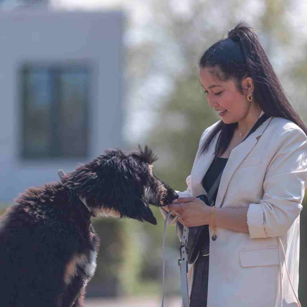 Trixie City Style PVC Collar PVC for Dogs, Sage