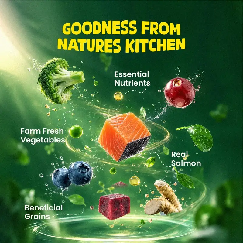 Well Fed Beneficial Grain Salmon and Veggies Dry Food for Dogs