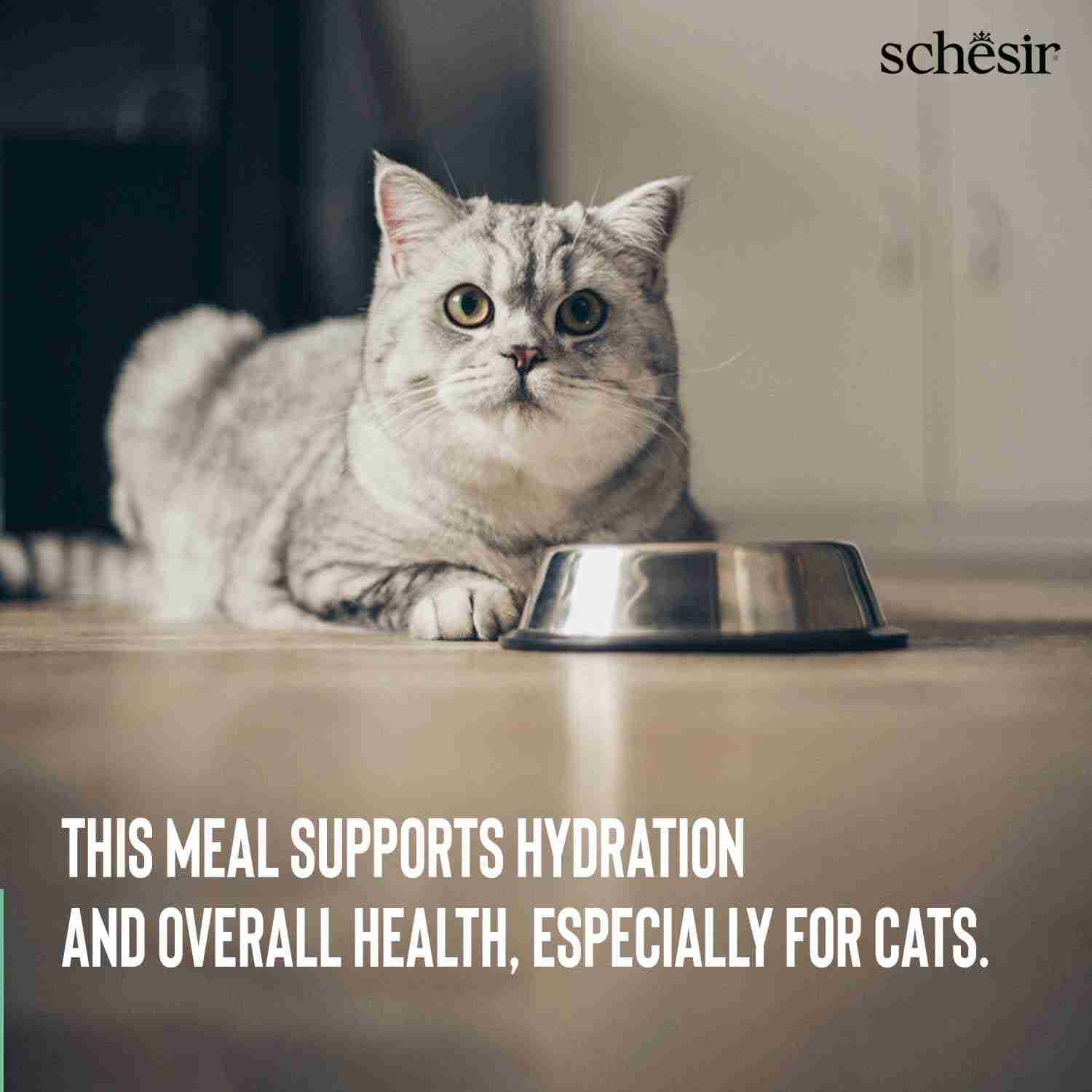 Schesir Chicken & Rice With duck In Solution Adult Cat Wet Food 6 X 50gm