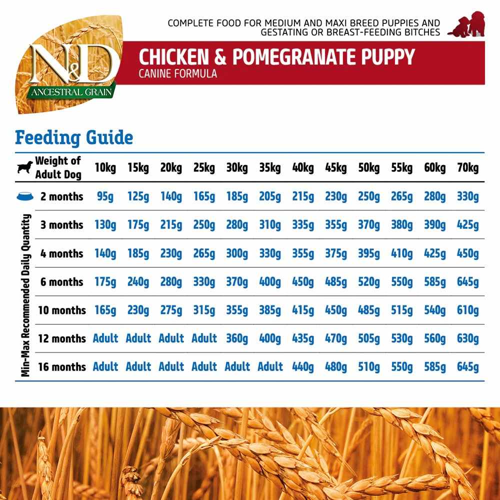 N & D Dog Ancestral Grain Chicken And Pomegranate Puppy Medium - Maxi 12 Kg