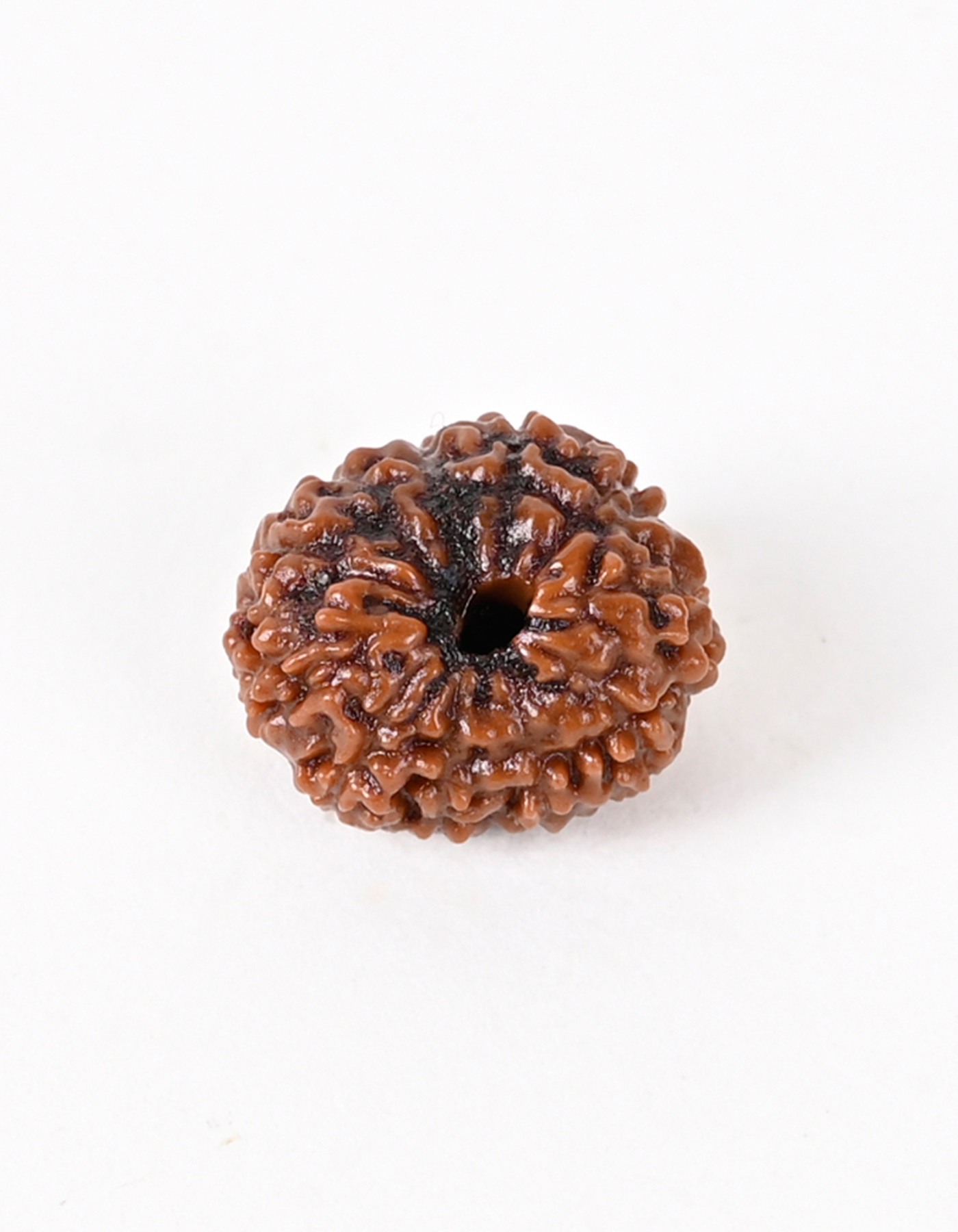 Shiv Ratan Kendra 11 Mukhi Indonesian Origin Genuine Rudraksha Beads - Enhances Fearlessness & Self-Confidence