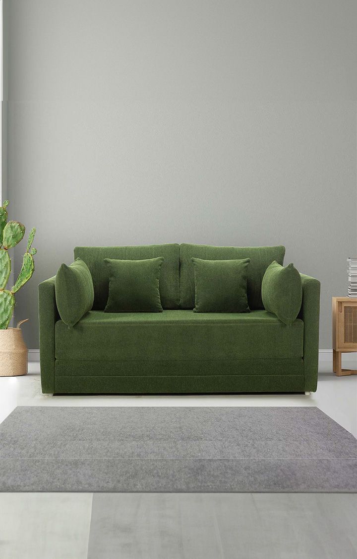 neudot Max Fabric Pull-Out Sofa Cum Bed for Living Room | 2 Seater Sofa Bed for Drawing Room & Bedroom | Diwan | Emerald Green Color