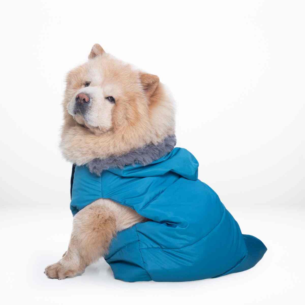 Ezra Fur Winter Jacket for Dogs, Cozy, Ultra Warm, and Water Resistant with Velcro Closure (Red)