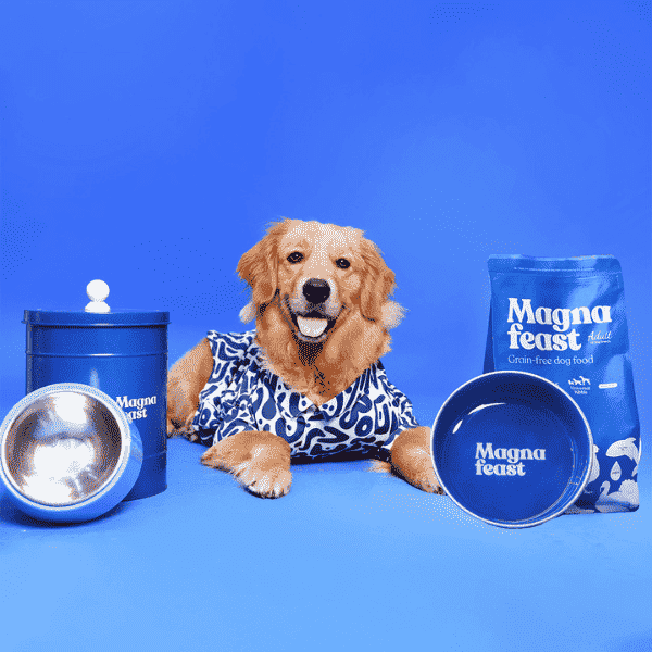 Magna Feast Pet Feeding Bowl