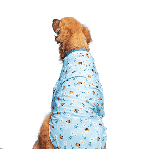 Ezra Polyester Blend Dog Shirt - Honey Bee
