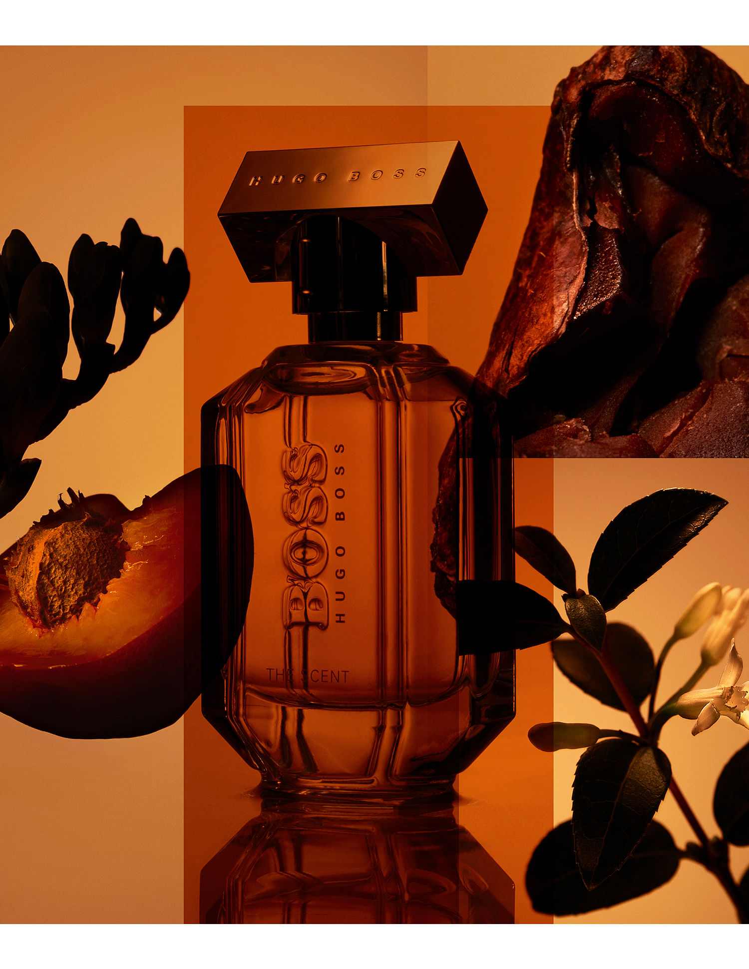 Hugo boss accord for her online
