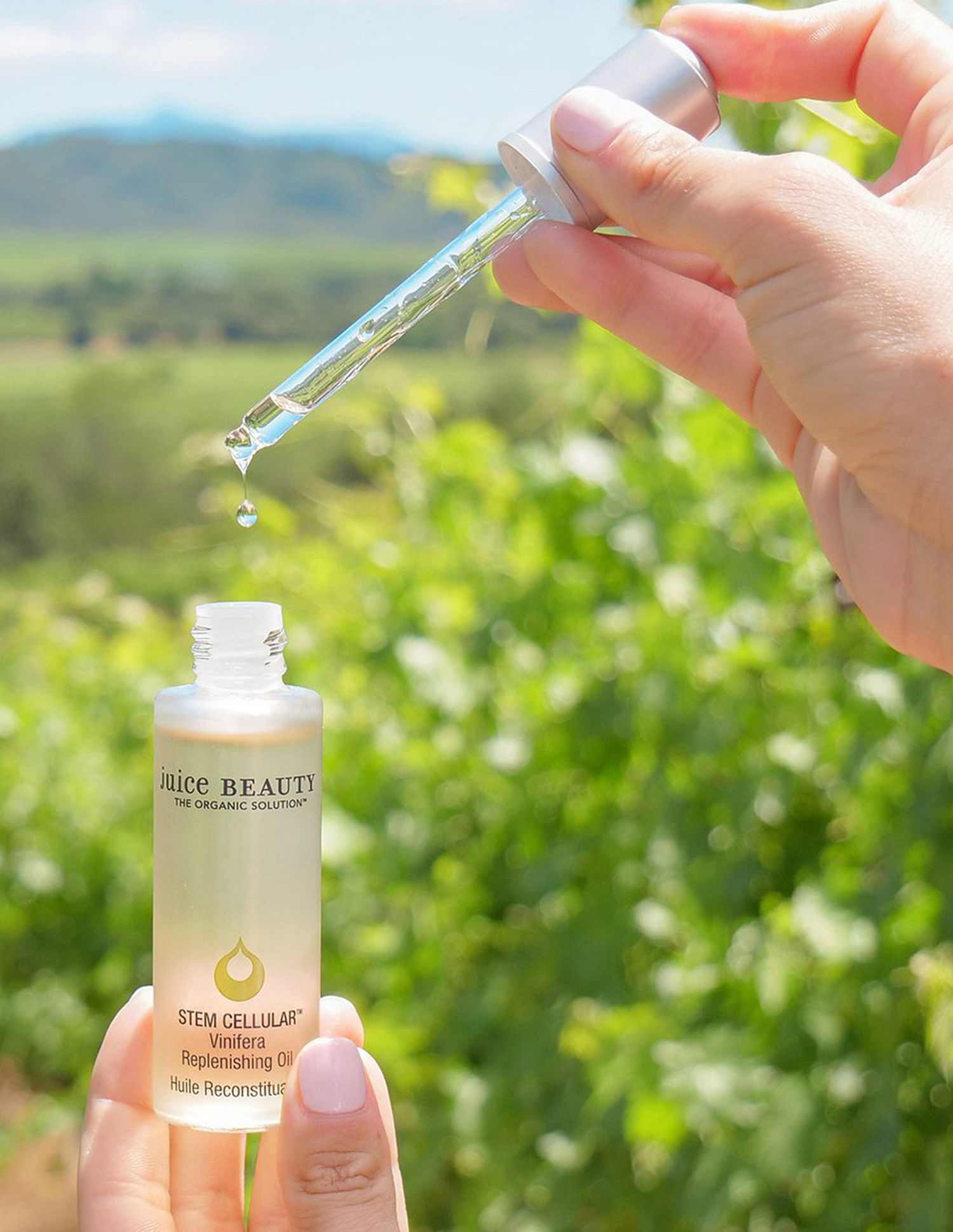 Stem Cellular Vinifera Replenishing Oil • 30ml