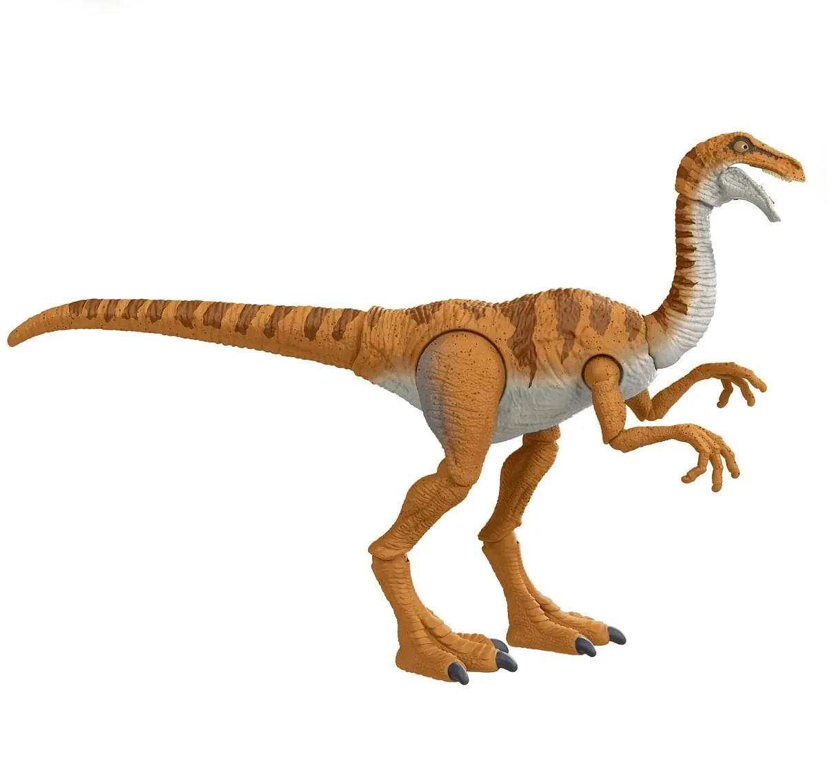 https://cdn.fynd.com/v2/falling-surf-7c8bb8/fyprod/wrkr/products/pictures/item/free/original/jurassic-world/493175444/1/E0u6kwZY5E-493175444-2_2303.webp