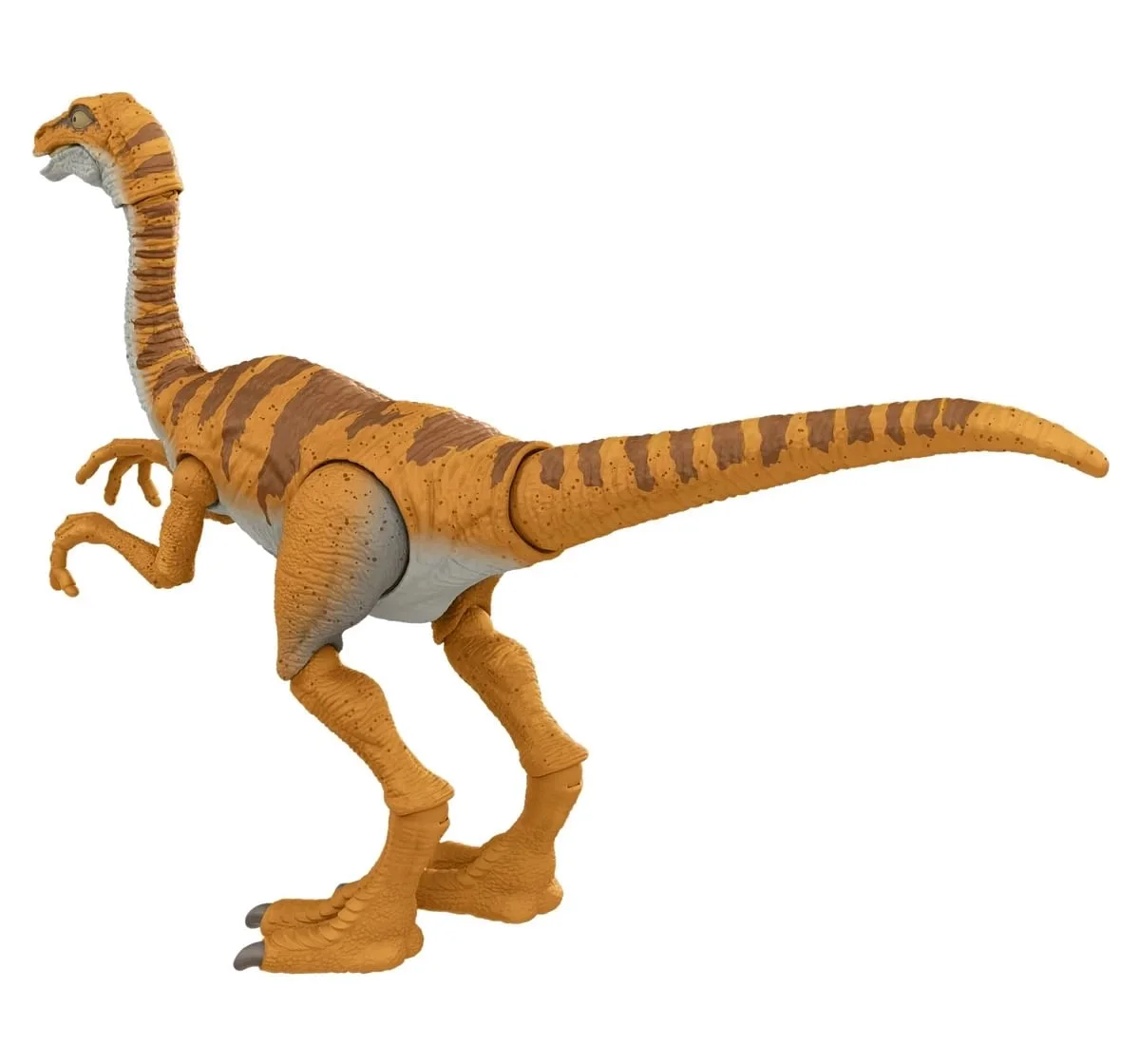https://cdn.fynd.com/v2/falling-surf-7c8bb8/fyprod/wrkr/products/pictures/item/free/original/jurassic-world/493175444/2/gGKIUhW9eN-493175444-3_3562.webp