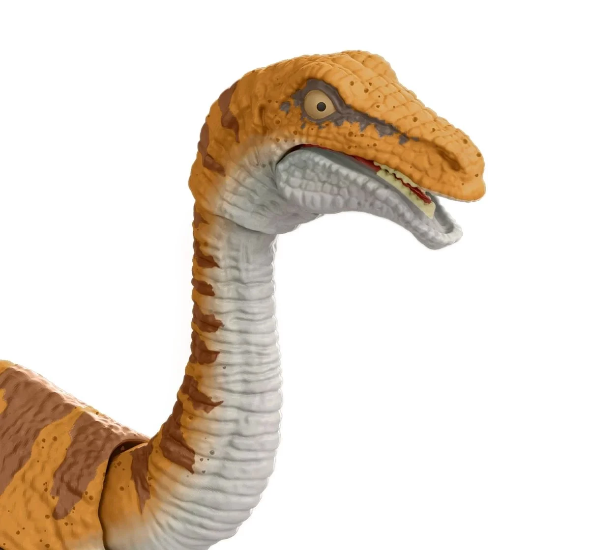 https://cdn.fynd.com/v2/falling-surf-7c8bb8/fyprod/wrkr/products/pictures/item/free/original/jurassic-world/493175444/3/yGSAN7KDK4-493175444-4_5585.webp