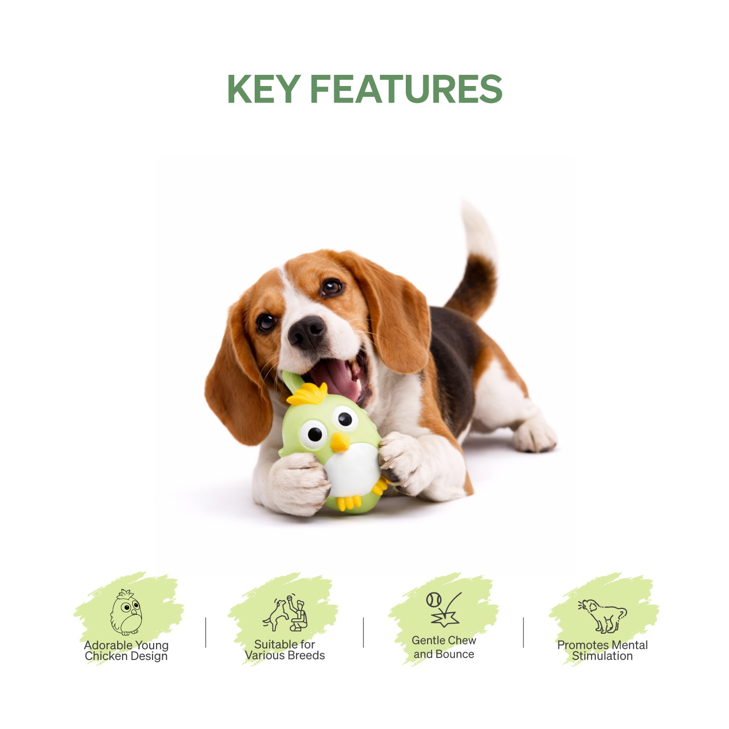 Ezra Play Young chicken Bird Squeaky Latex Toy