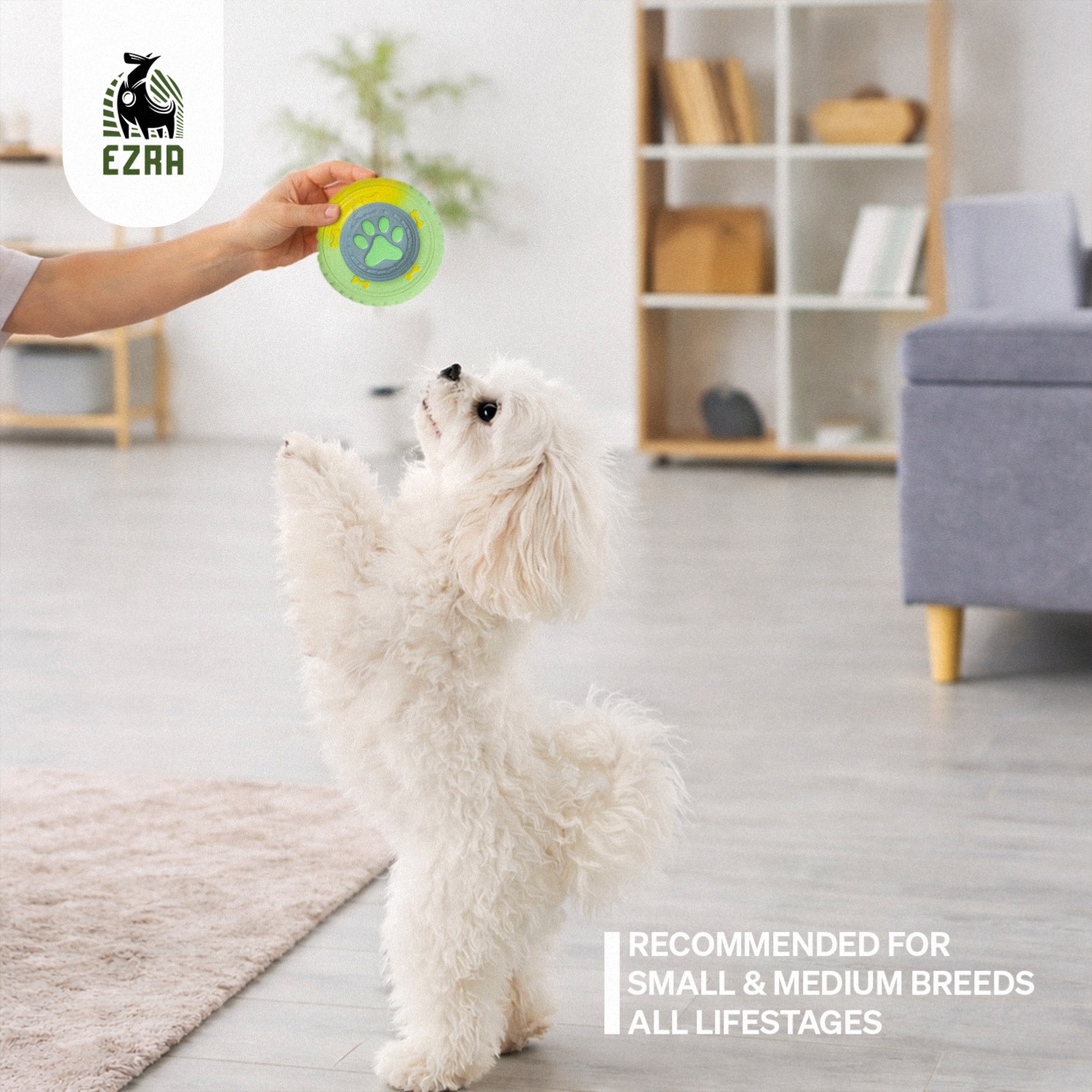 Ezra Play Tire E Squeaky Latex Toy