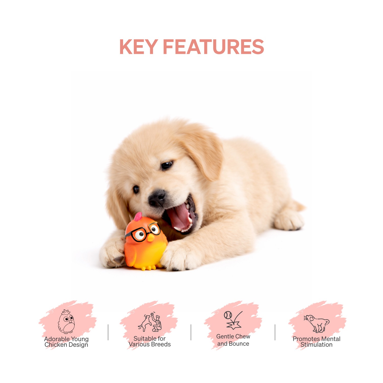 Ezra Play Glasses Chicken Squeaky Latex Toy