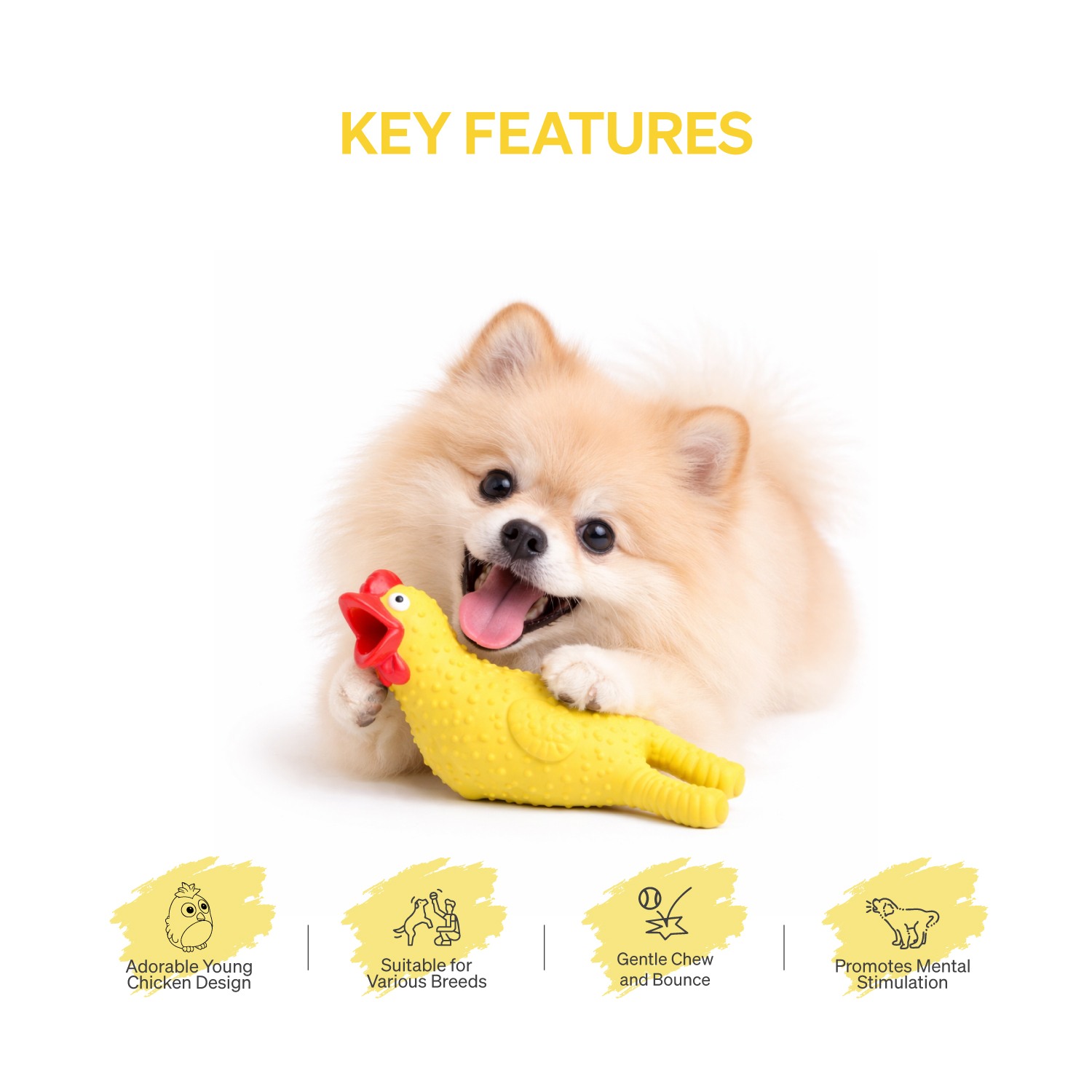 Ezra Play Screaming Chicken Squeaky Latex Toy