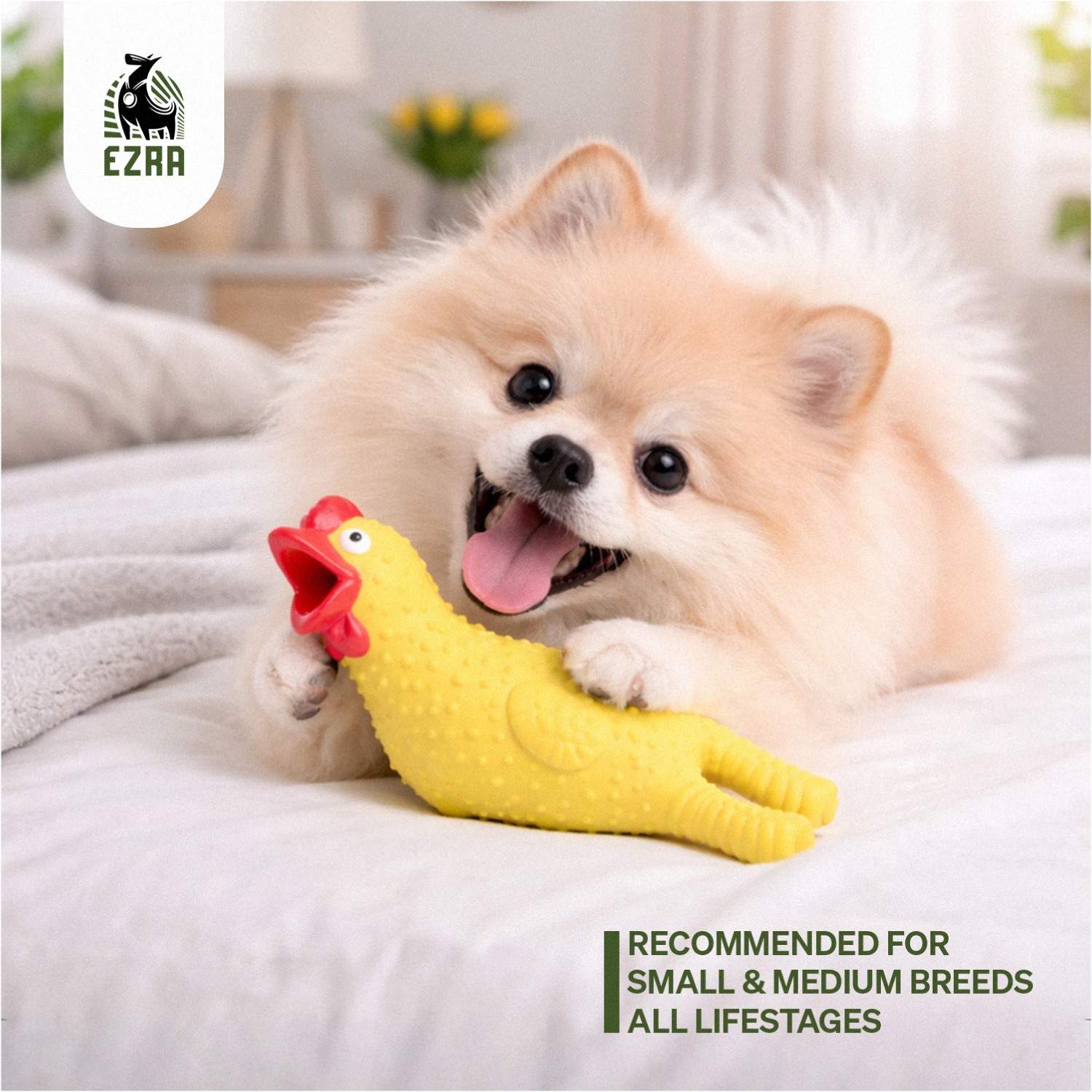 Ezra Play Screaming Chicken Squeaky Latex Toy