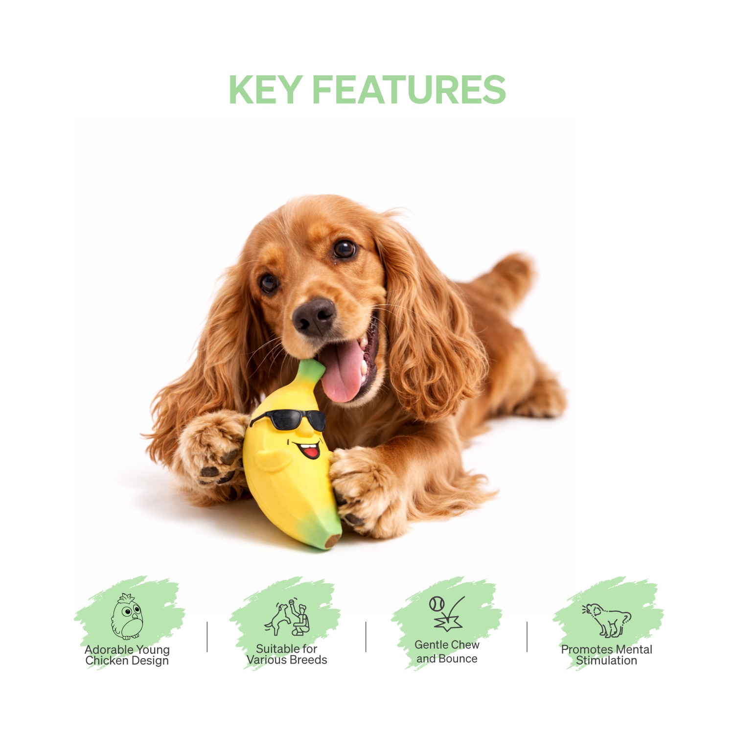 Ezra Play Banana Squeaky Latex Toy
