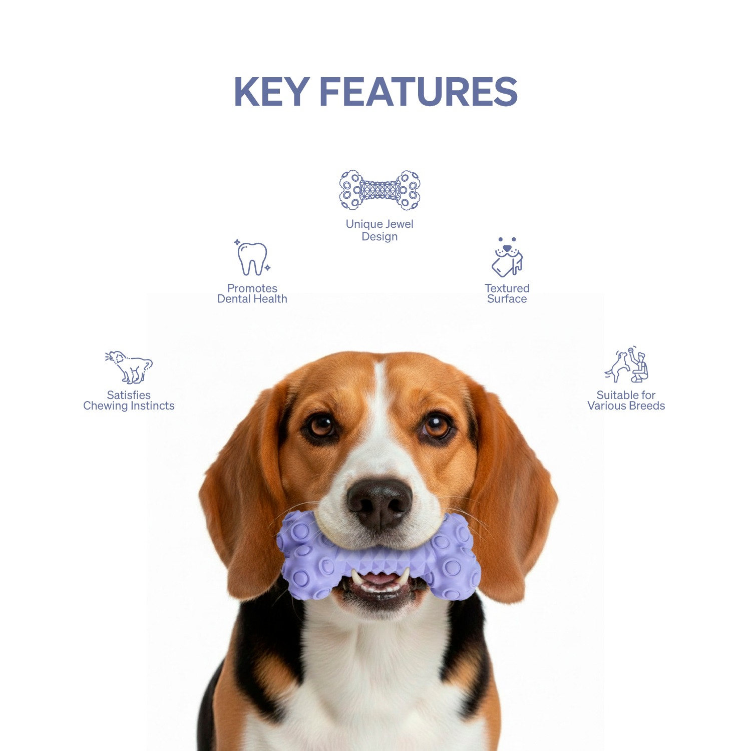Ezra Play Jewel Bone - Purple Rubber Toy