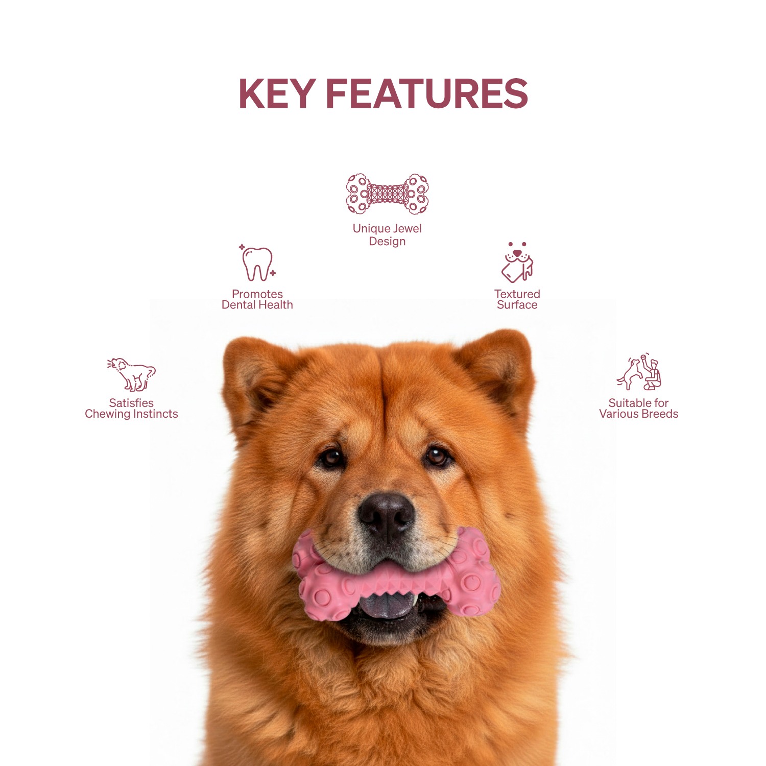 Ezra Play Jewel Bone - Pink Rubber Toy