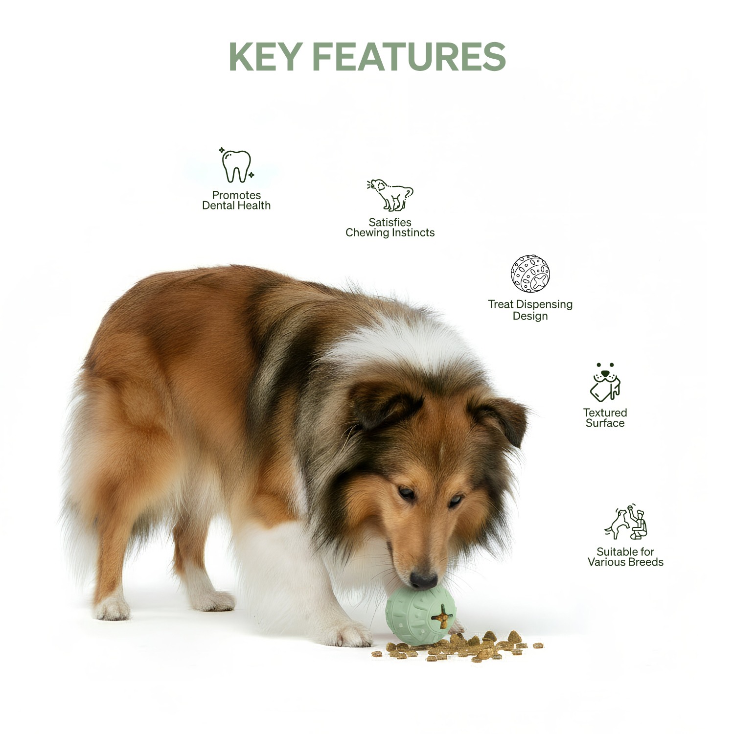 Ezra Play Bamboo Ball - Green Rubber Toy