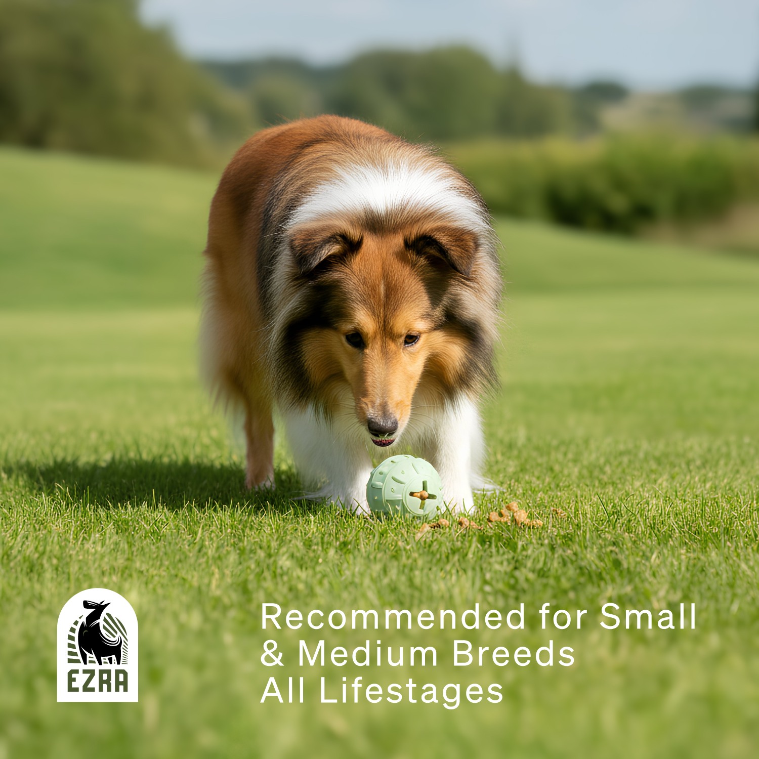 Ezra Play Bamboo Ball - Green Rubber Toy