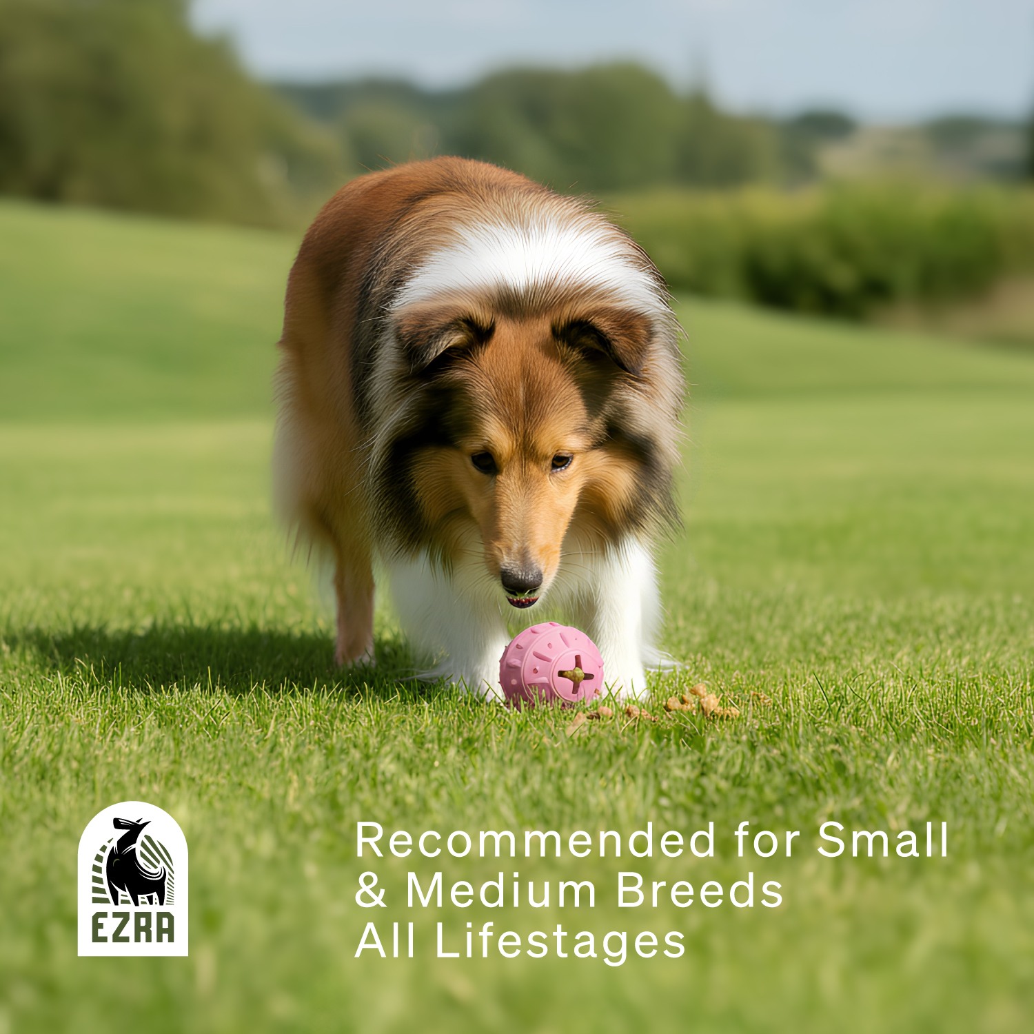 Ezra Play Bamboo Ball - Pink Rubber Toy