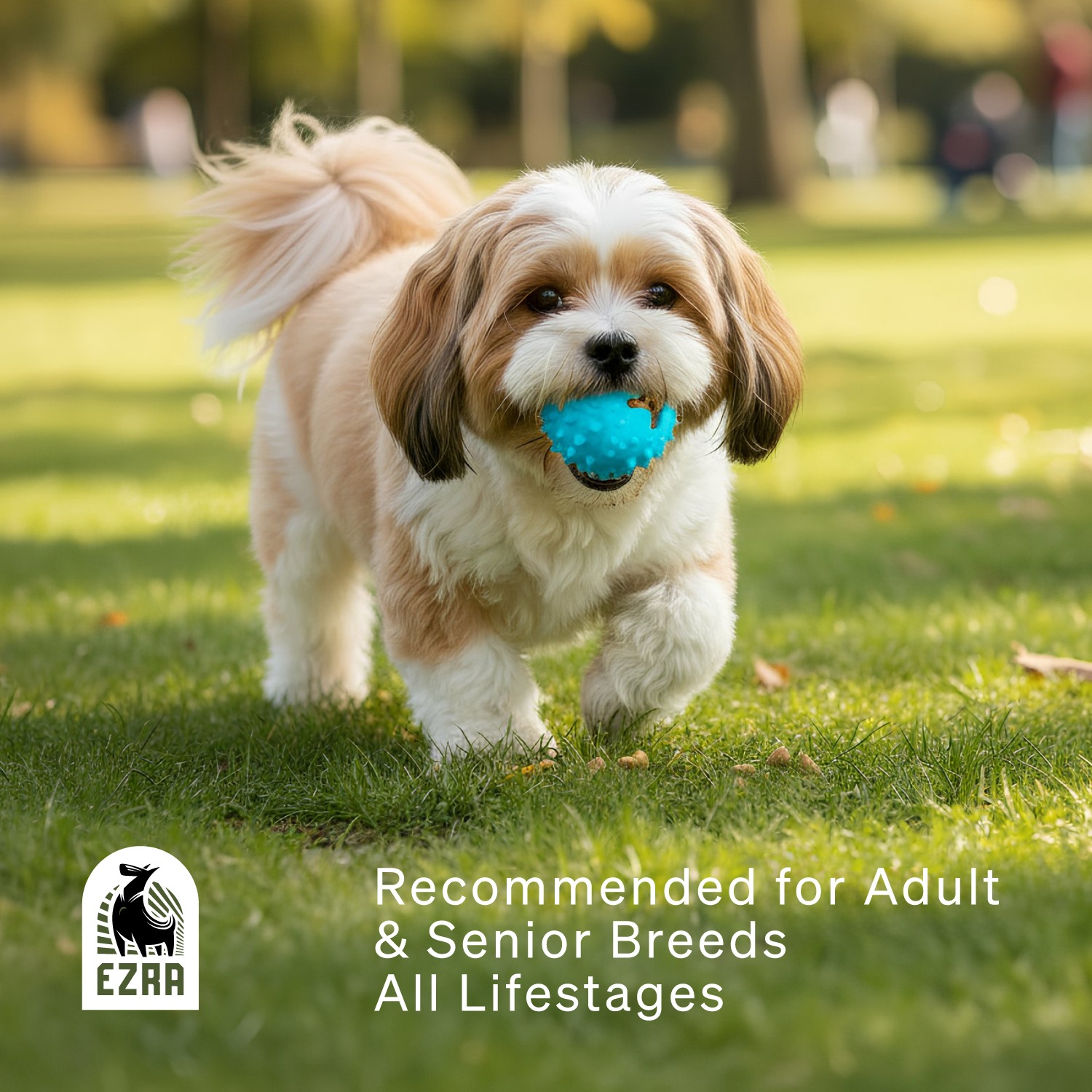 Ezra Play Round Spiky Ball - Blue Rubber Toy