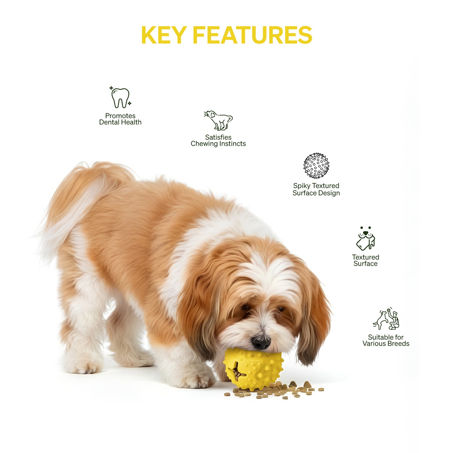 Ezra Play Round Spiky Rubber Ball Pet Toy - Yellow