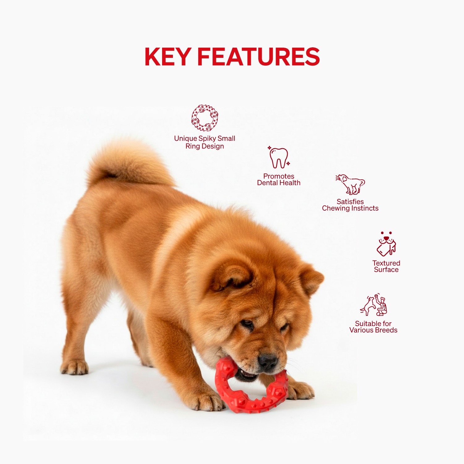 Ezra Play Spiky Big Ring - Red Rubber Toy