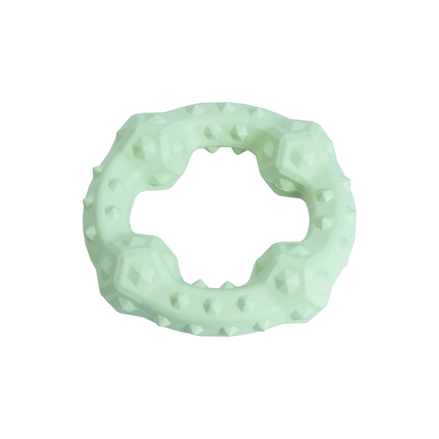 Ezra Play Spiky Big Ring - Green Rubber Toy