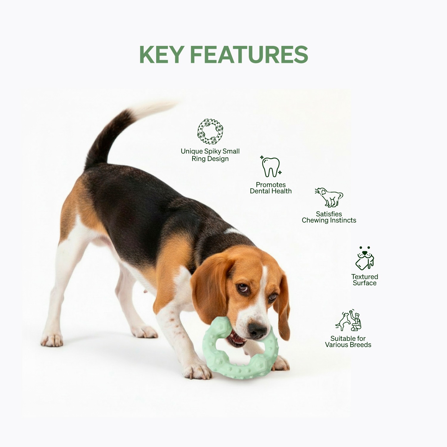 Ezra Play Spiky Big Ring - Green Rubber Toy