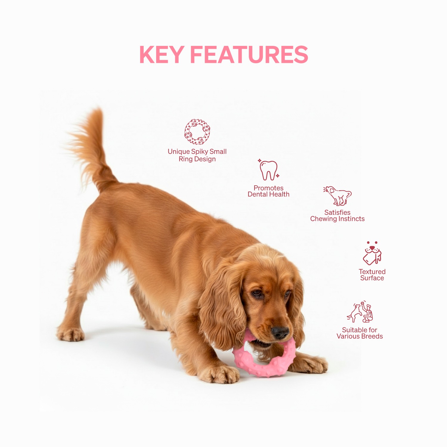 Ezra Play Spiky Big Ring - Pink Rubber Toy