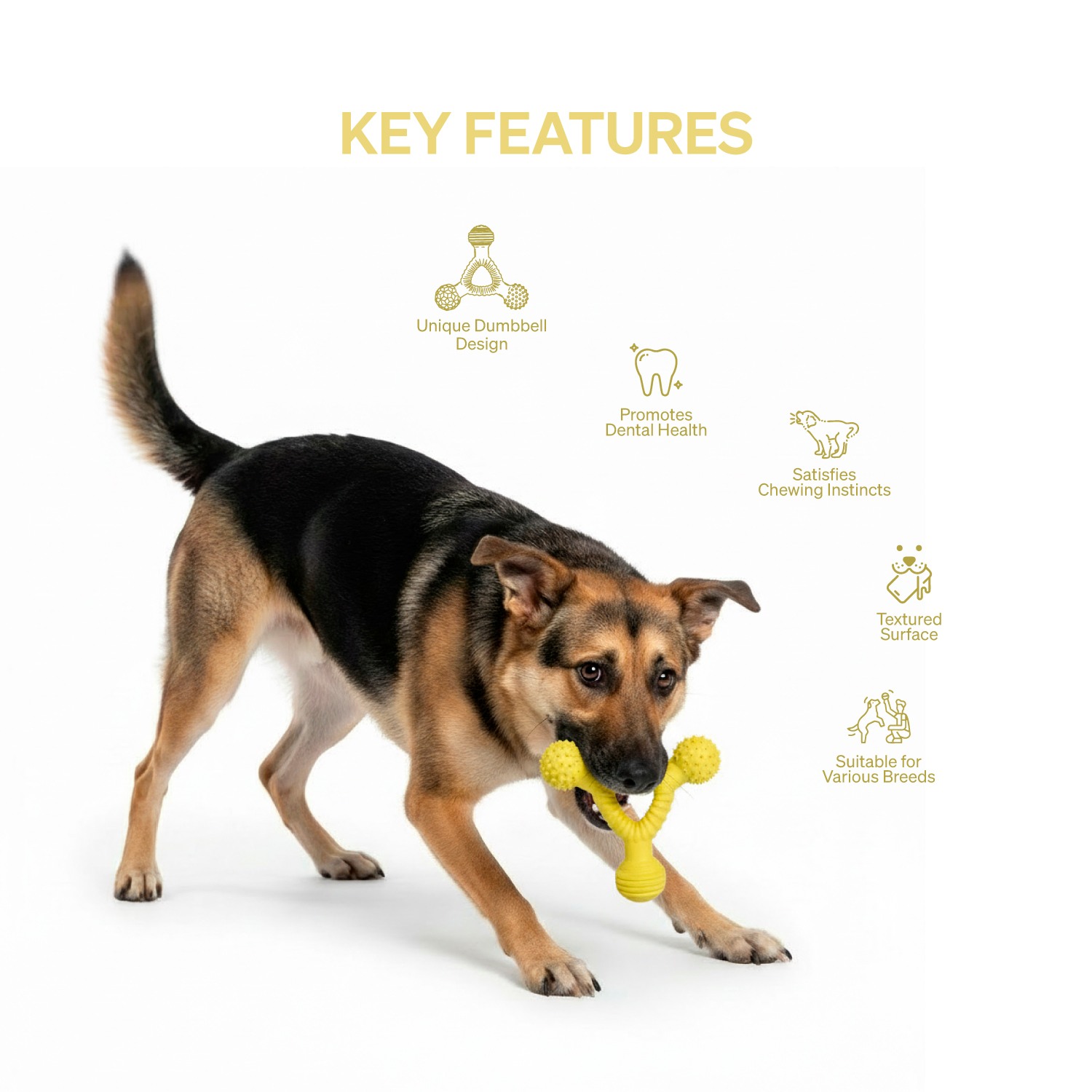 Ezra Play Dumbell- Yellow Rubber Toy